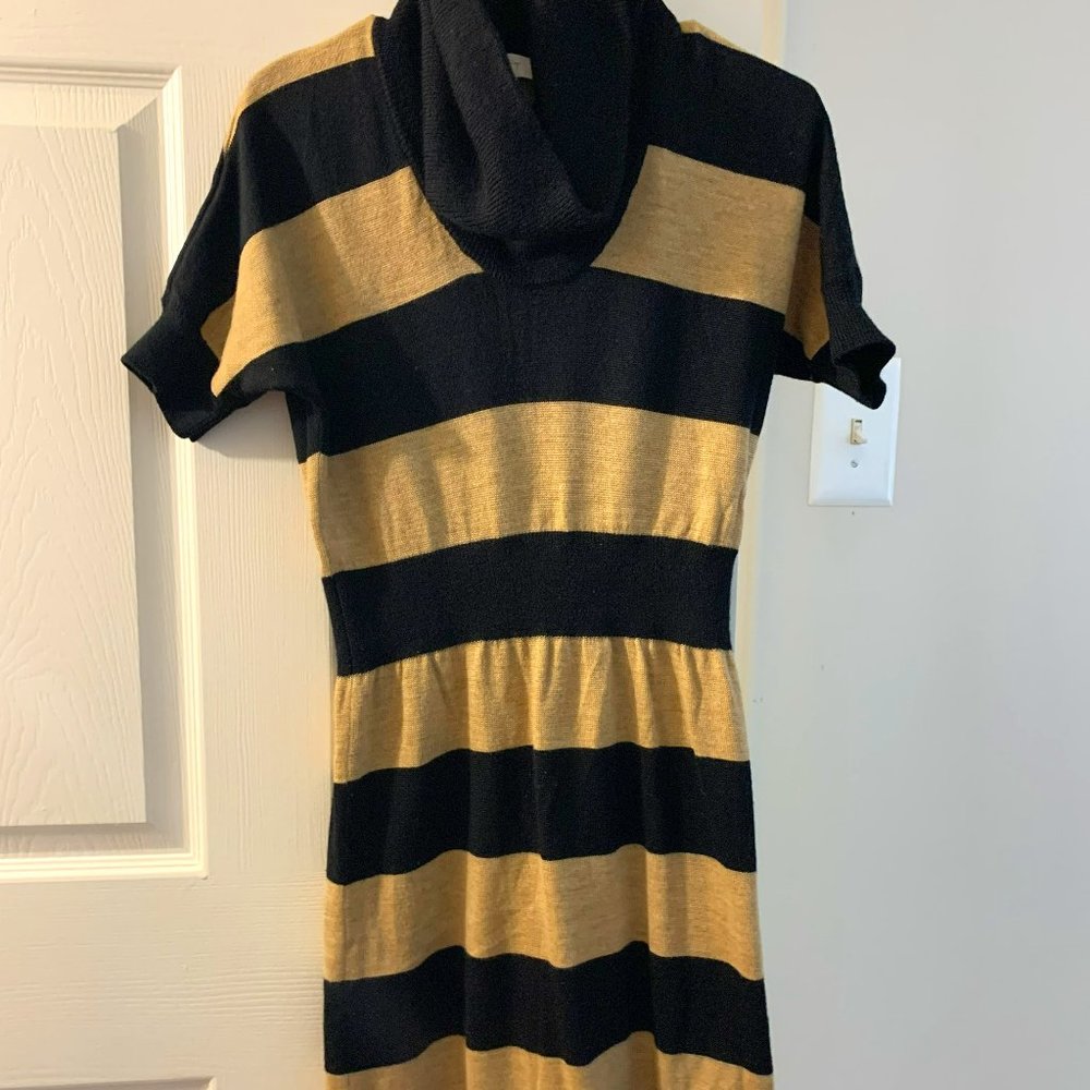 Sweater Dress - medium petite - Ann Taylor Loft - Picture 3 of 5